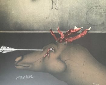 Paul-Wunderlich-Pfeil-und-Veilchen-Signierte-numm-Orig-Farblithographie-254077317812