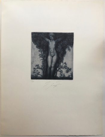 Ernst-Fuchs-Die-Erscheinung-im-Busch-Signierte-numm-Radierung-nur-99-Ex-264144505398-3