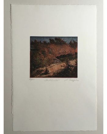 Markus-Retzlaff-Herbstwald-Signierte-und-numm-Orig-Farbradierung-von-2004-264144373799-2