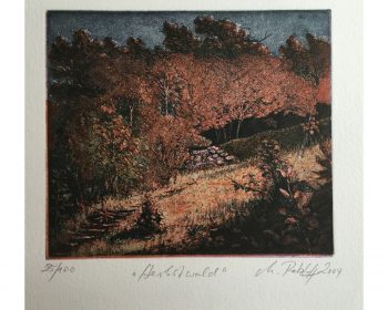Markus-Retzlaff-Herbstwald-Signierte-und-numm-Orig-Farbradierung-von-2004-264144373799